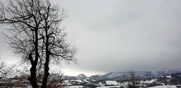 Bare tree against sky during winter