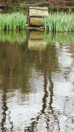 Scenic view of lake