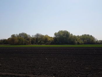 Scenic view of landscape against clear sky