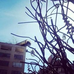 Low angle view of tree against sky