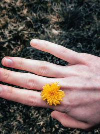 Cropped hand of woman holding yellow flower