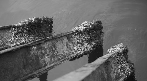 High angle view of railing by sea during winter