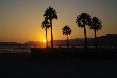 Silhouette of palm trees at beach during sunset