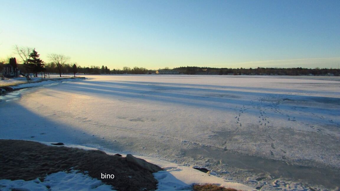 winter, cold temperature, snow, frozen, nature, cold, scenics, ice, weather, tranquility, beauty in nature, flat, tranquil scene, landscape, outdoors, tree, no people, frost, field, clear sky, sky, day, lake, snowdrift