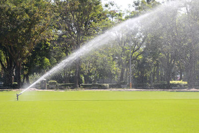 Water fountain in lawn