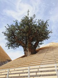 Low angle view of built structure against sky