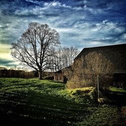 Scenic view of grassy field against cloudy sky