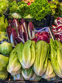 High angle view of vegetables for sale at market stall