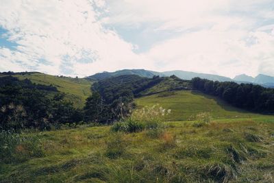 Scenic view of landscape against sky