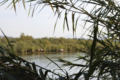 View of a lake