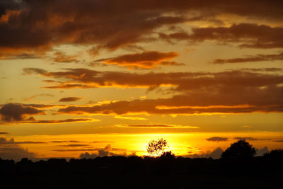 Silhouette trees against dramatic sky during sunset