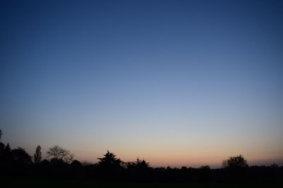 Silhouette trees against clear sky during sunset