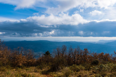 Scenic view of landscape against sky