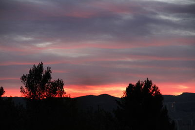 Silhouette trees against sky at sunset