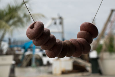 Close-up of food hanging on string