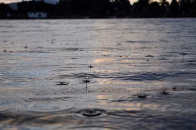 Surface level of rippled water