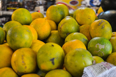 Close-up of citrus fruits for sale at market