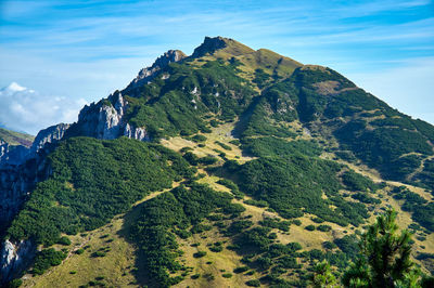 Summer panorama of mount gramolon. mont gramolon is part of the tre croci chain, in italy
