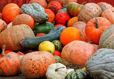 Full frame shot of pumpkins