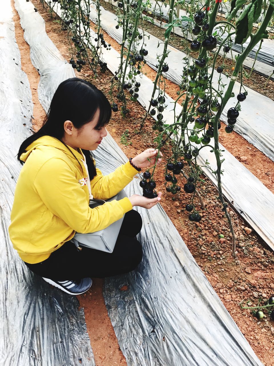 real people, casual clothing, lifestyles, one person, leisure activity, high angle view, sitting, plant, growth, childhood, young adult, young women, day, nature, outdoors, tree