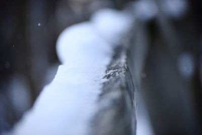 Close-up of snow