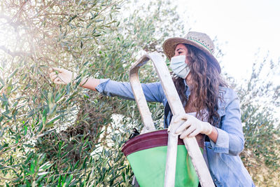 From below of young female farmer in protective mask picking ripe olives growing on tree in field