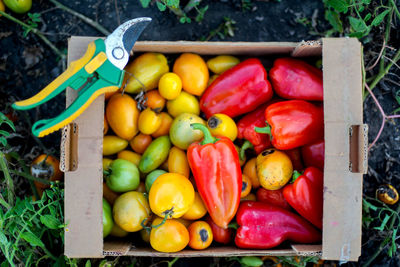 High angle view of vegetables for sale at market