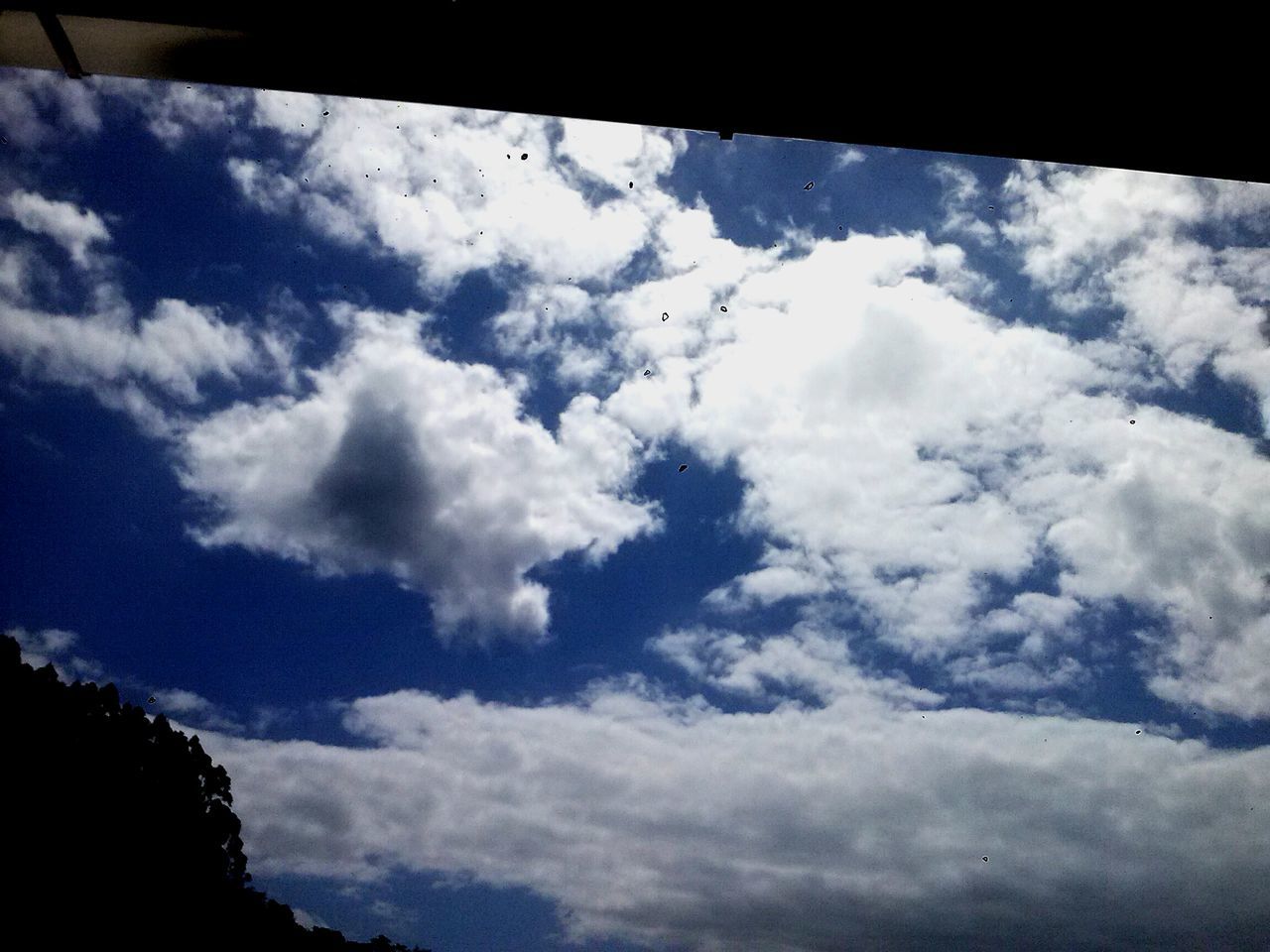 sky, low angle view, beauty in nature, no people, nature, scenics, cloud - sky, day, outdoors, tranquility, tree, airplane wing