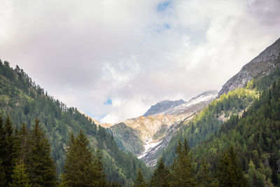 Natural landscape with green mountain peaks in summer