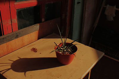 High angle view of potted plant on table at home