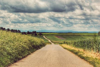 Road passing through agricultural field against sky