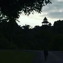 Rear view of silhouette man walking by trees against sky