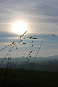 Scenic view of landscape against sky at sunset