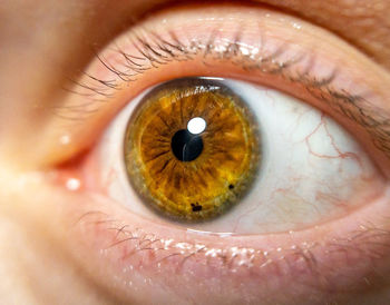 Close up of female eye, colored iris useful for ophthalmology or optometry imagery