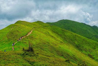 Scenic view of green landscape against sky