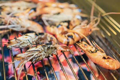 Close-up of insect on barbecue