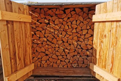 Stack of logs in forest