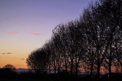 Silhouette trees against sky during sunset