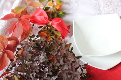 High angle view of red berries on table