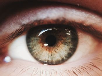 Extreme close-up of person eye