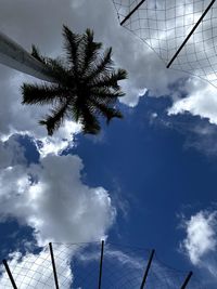 Low angle view of silhouette tree against sky