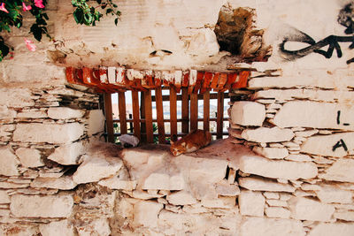 Close-up of weathered wall