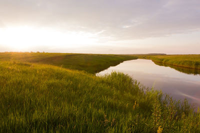 Scenic view of lake amidst grassy field against sky