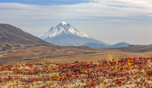 Vilyuchinsky volcano in autumn. kamchatka peninsula. selective focus