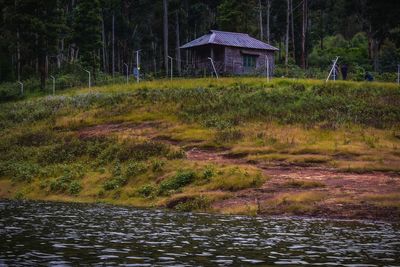 Scenic view of forest