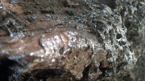 Close-up of rocks in water