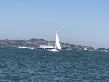 Sailboat sailing on sea against clear sky