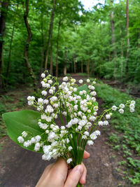 Flowers on hand holding flowering plant