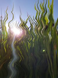 Full frame shot of plants in lake