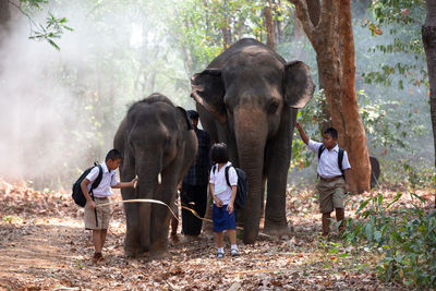 Group of people in forest